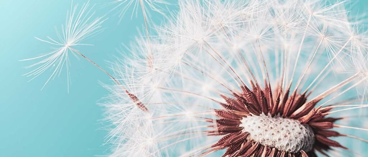 How can I distribute my blog articles