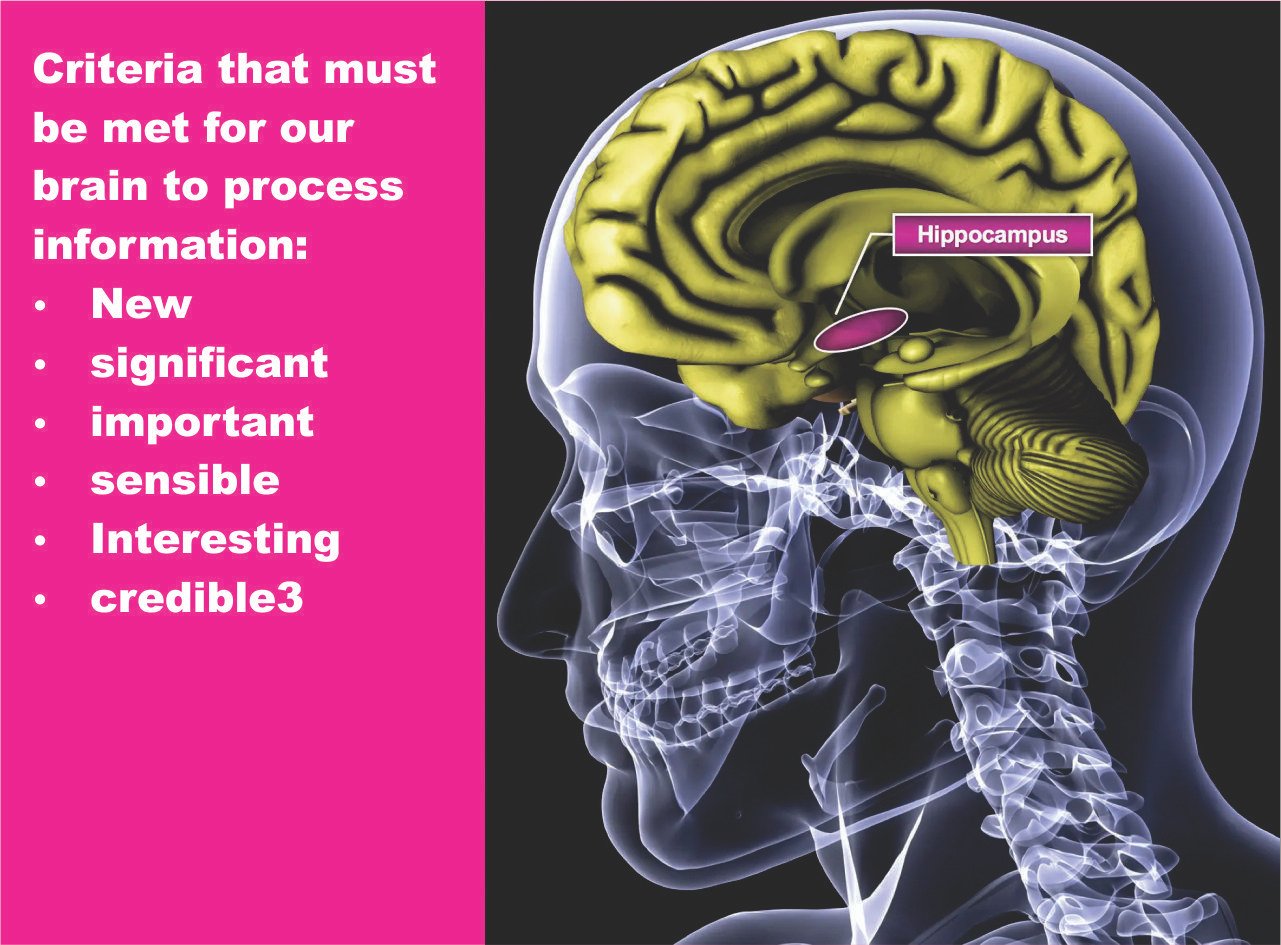 Essential components of digital marketing automation