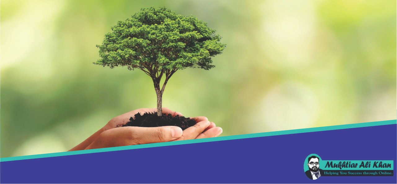 Content Creation Trends