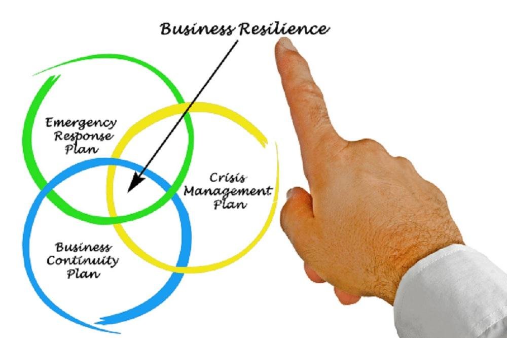 Promoting Business Resilience