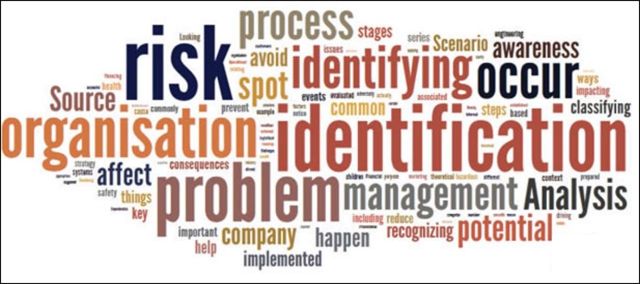 Risk Identification