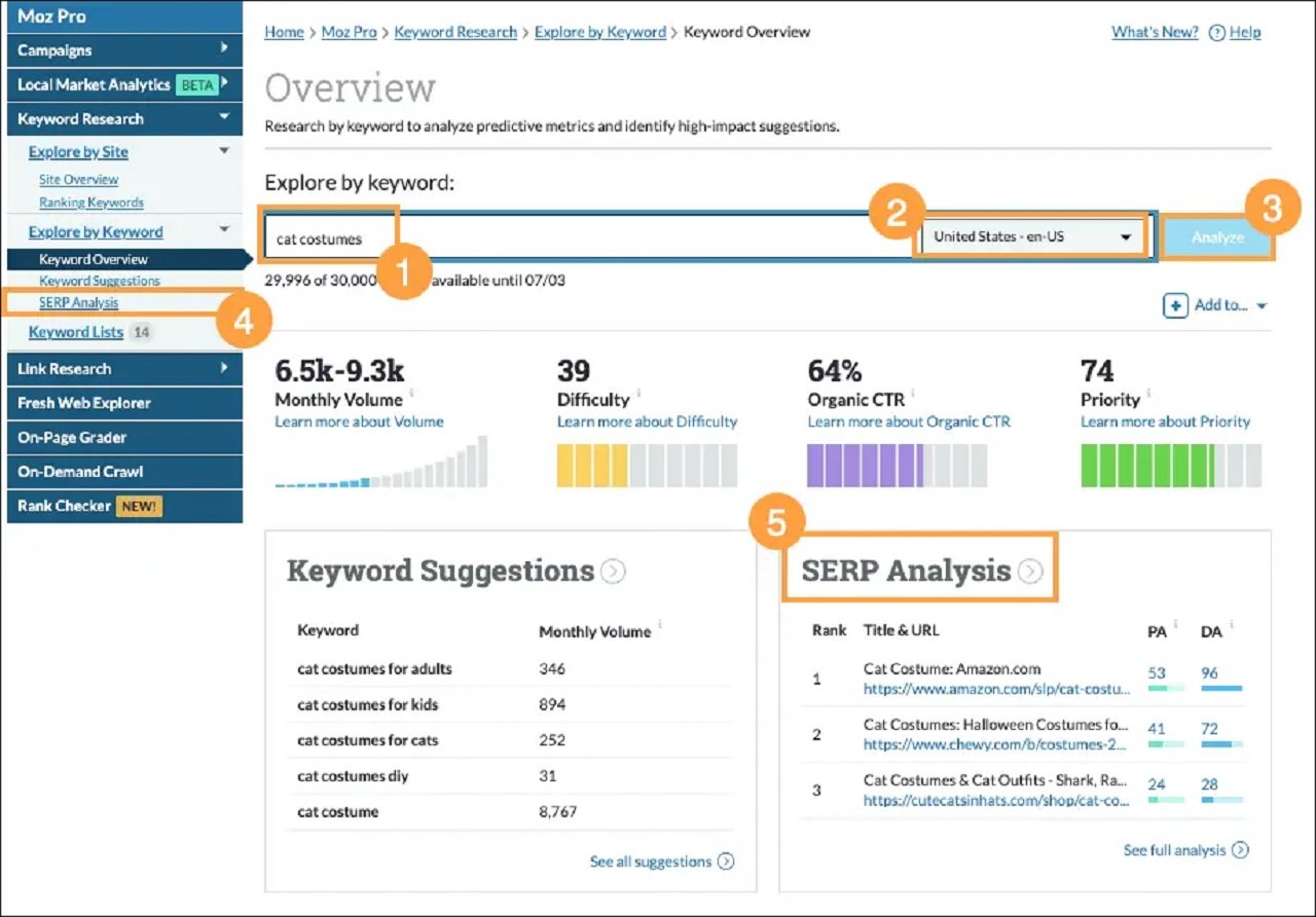 Rank Tracking and SERP Analysis
